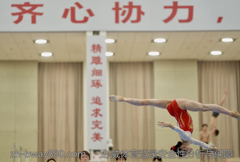 - 必威体育登录安全性分析与保障