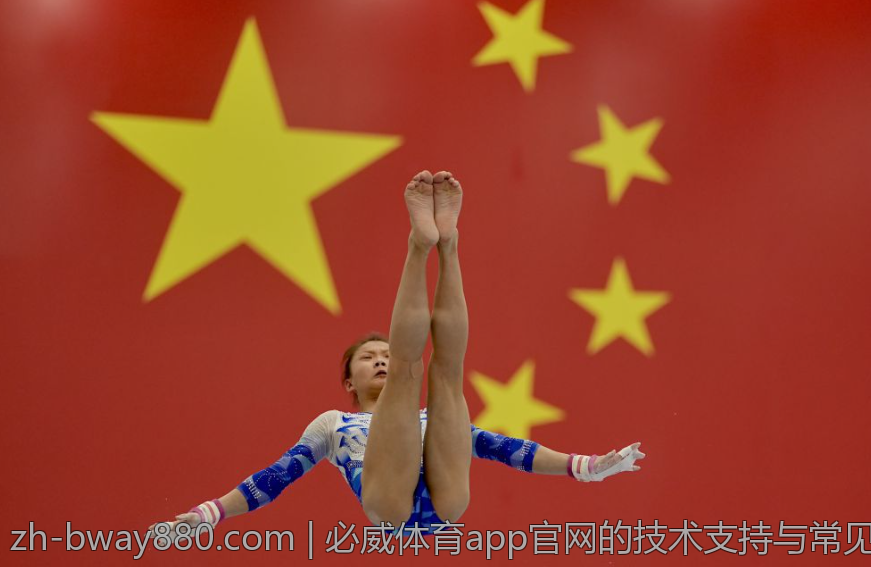 必威体育app官网的技术支持与常见故障排除